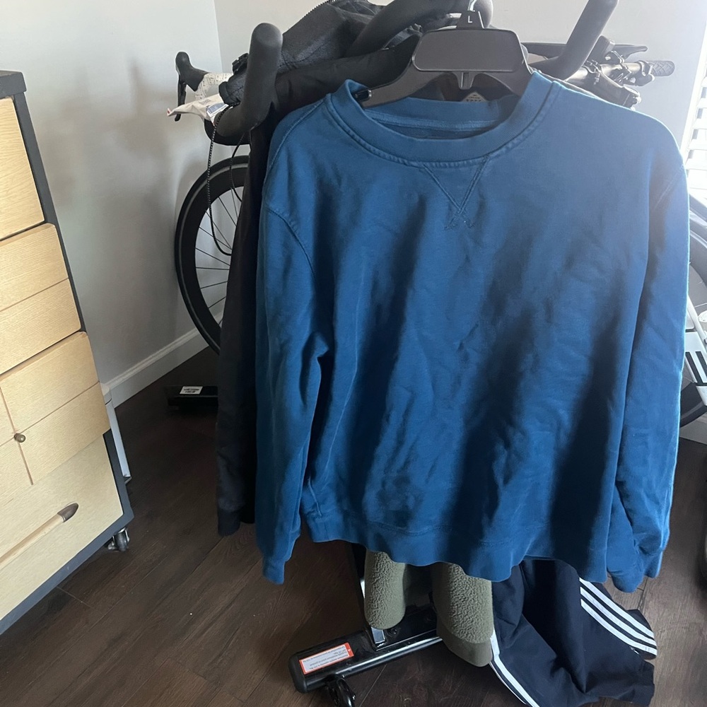 Everlane Blue Crew Sweatshirt